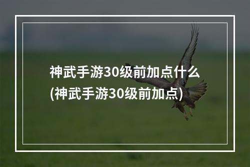 神武手游30级前加点什么(神武手游30级前加点)