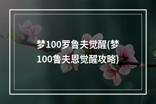 梦100罗鲁夫觉醒(梦100鲁夫恩觉醒攻略)