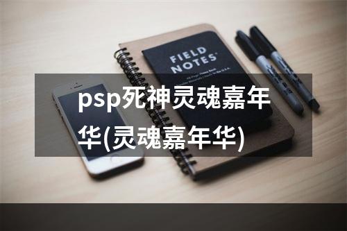 psp死神灵魂嘉年华(灵魂嘉年华)