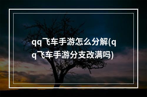 qq飞车手游怎么分解(qq飞车手游分支改满吗)