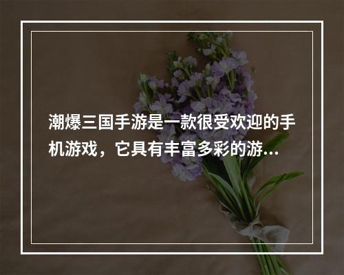 潮爆三国手游是一款很受欢迎的手机游戏，它具有丰富多彩的游戏特色，为玩家提供了深度游戏体验。本文将带您了解潮爆三国手游的核心玩法和游戏亮点，亲身感受这款游戏的魅力