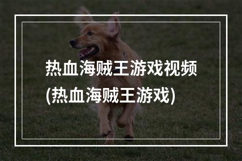 热血海贼王游戏视频(热血海贼王游戏)