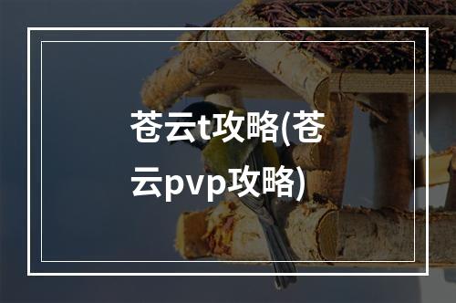 苍云t攻略(苍云pvp攻略)