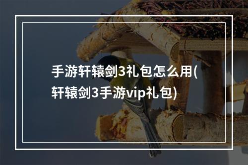 手游轩辕剑3礼包怎么用(轩辕剑3手游vip礼包)