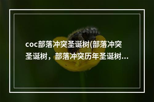 coc部落冲突圣诞树(部落冲突圣诞树，部落冲突历年圣诞树大比拼!黑色圣诞树)