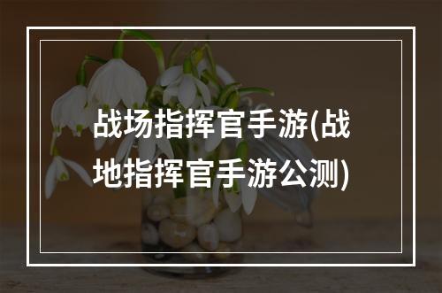 战场指挥官手游(战地指挥官手游公测)