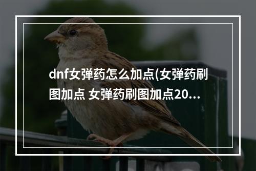 dnf女弹药怎么加点(女弹药刷图加点 女弹药刷图加点2022  )