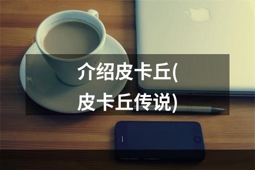 介绍皮卡丘(皮卡丘传说)