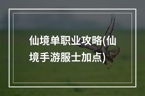 仙境单职业攻略(仙境手游服士加点)