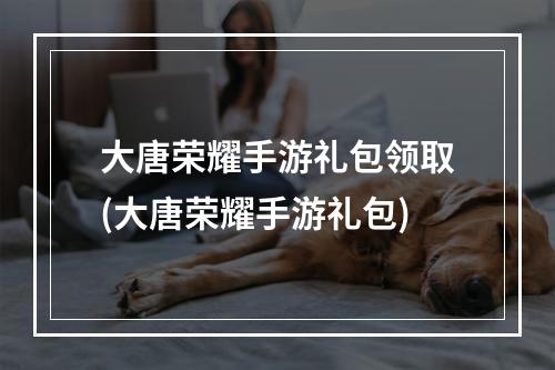 大唐荣耀手游礼包领取(大唐荣耀手游礼包)