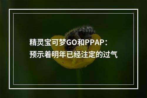 精灵宝可梦GO和PPAP：预示着明年已经注定的过气