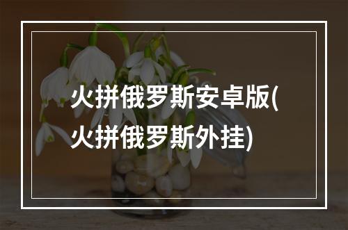 火拼俄罗斯安卓版(火拼俄罗斯外挂)