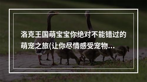 洛克王国萌宝宝你绝对不能错过的萌宠之旅(让你尽情感受宠物互动带来的乐趣)