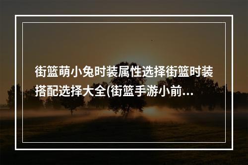 街篮萌小兔时装属性选择街篮时装搭配选择大全(街篮手游小前锋时装属性)