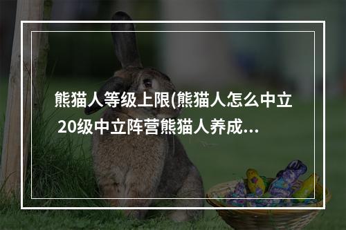 熊猫人等级上限(熊猫人怎么中立 20级中立阵营熊猫人养成攻略)