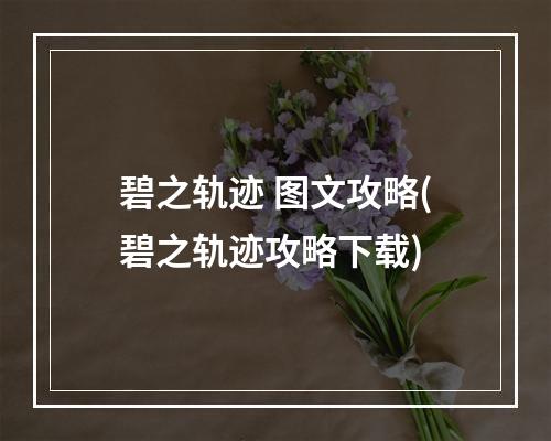 碧之轨迹 图文攻略(碧之轨迹攻略下载)