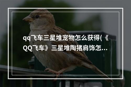 qq飞车三星堆宠物怎么获得(《QQ飞车》三星堆陶猪肩饰怎么获得 QQ飞车手游  )