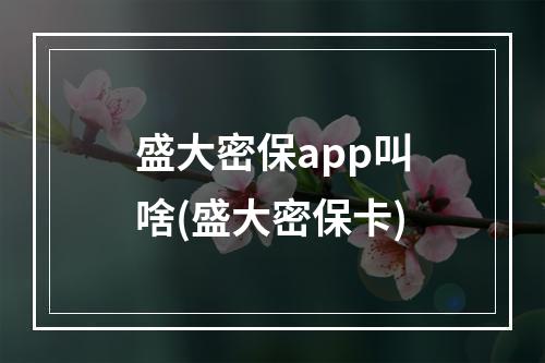 盛大密保app叫啥(盛大密保卡)