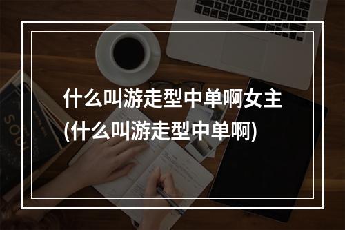 什么叫游走型中单啊女主(什么叫游走型中单啊)