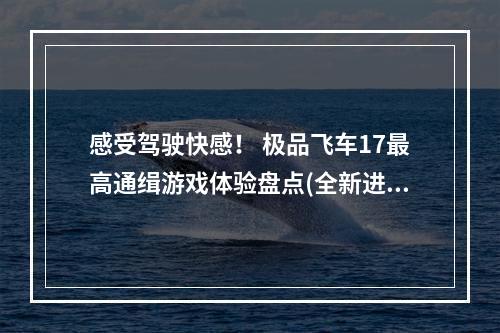 感受驾驶快感！ 极品飞车17最高通缉游戏体验盘点(全新进化！重现极致赛车魅力——极品飞车17最高通缉游戏评测)