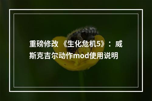 重磅修改 《生化危机5》：威斯克吉尔动作mod使用说明