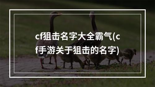 cf狙击名字大全霸气(cf手游关于狙击的名字)