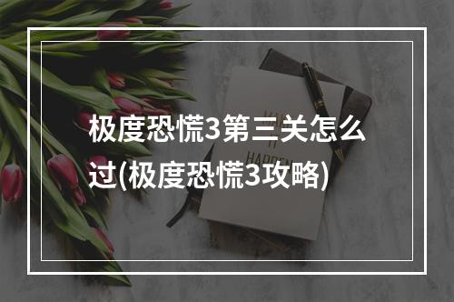 极度恐慌3第三关怎么过(极度恐慌3攻略)