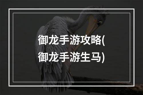 御龙手游攻略(御龙手游生马)