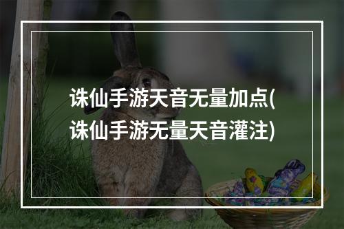 诛仙手游天音无量加点(诛仙手游无量天音灌注)