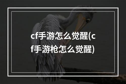 cf手游怎么觉醒(cf手游枪怎么觉醒)