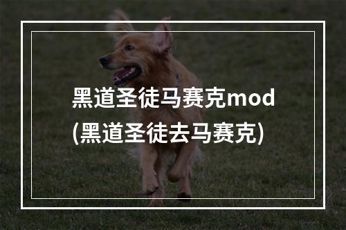 黑道圣徒马赛克mod(黑道圣徒去马赛克)