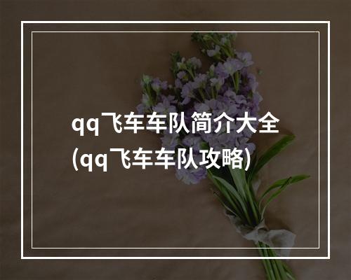 qq飞车车队简介大全(qq飞车车队攻略)