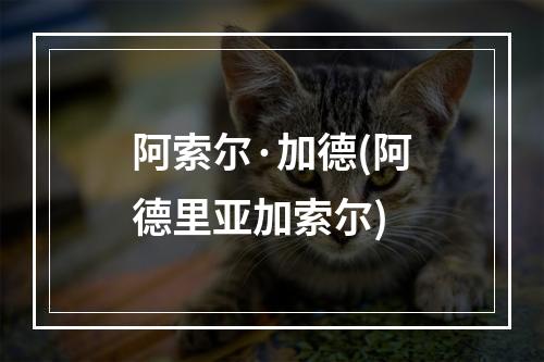 阿索尔·加德(阿德里亚加索尔)