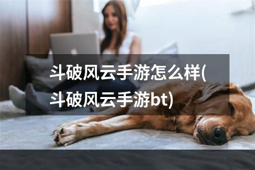 斗破风云手游怎么样(斗破风云手游bt)