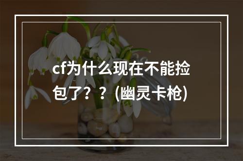 cf为什么现在不能捡包了？？(幽灵卡枪)