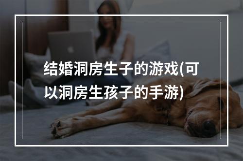 结婚洞房生子的游戏(可以洞房生孩子的手游)