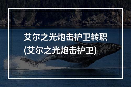 艾尔之光炮击护卫转职(艾尔之光炮击护卫)