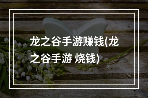 龙之谷手游赚钱(龙之谷手游 烧钱)