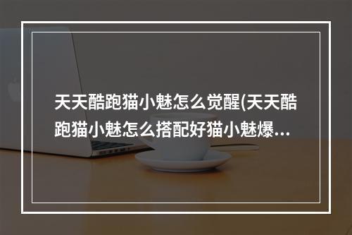 天天酷跑猫小魅怎么觉醒(天天酷跑猫小魅怎么搭配好猫小魅爆分搭配指南)