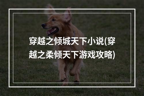 穿越之倾城天下小说(穿越之柔倾天下游戏攻略)