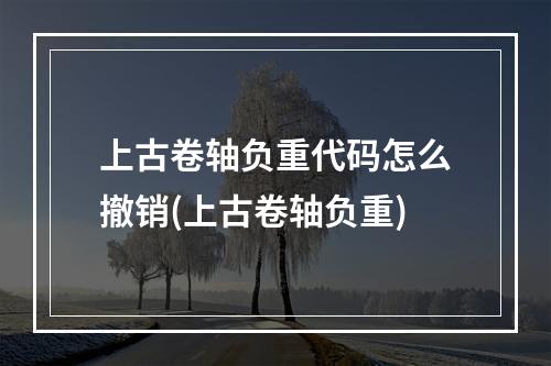 上古卷轴负重代码怎么撤销(上古卷轴负重)