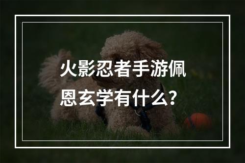 火影忍者手游佩恩玄学有什么？