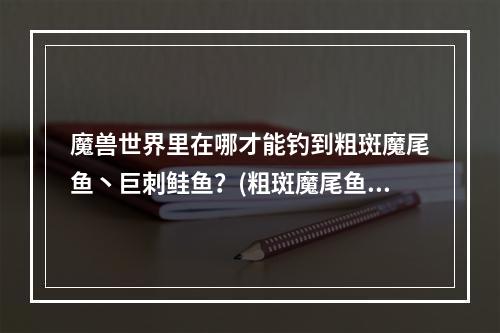 魔兽世界里在哪才能钓到粗斑魔尾鱼丶巨刺鲑鱼？(粗斑魔尾鱼)