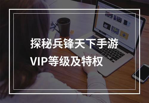 探秘兵锋天下手游VIP等级及特权