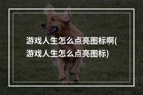 游戏人生怎么点亮图标啊(游戏人生怎么点亮图标)