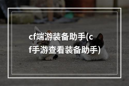 cf端游装备助手(cf手游查看装备助手)