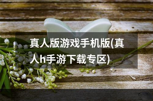 真人版游戏手机版(真人h手游下载专区)