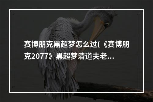 赛博朋克黑超梦怎么过(《赛博朋克2077》黑超梦清道夫老窝位置 黑超梦被抢的装备在)