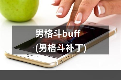 男格斗buff(男格斗补丁)