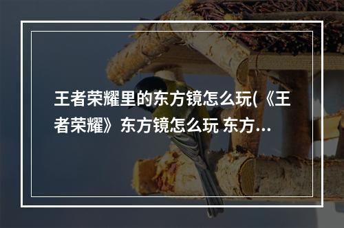 王者荣耀里的东方镜怎么玩(《王者荣耀》东方镜怎么玩 东方镜玩法连招教学  )